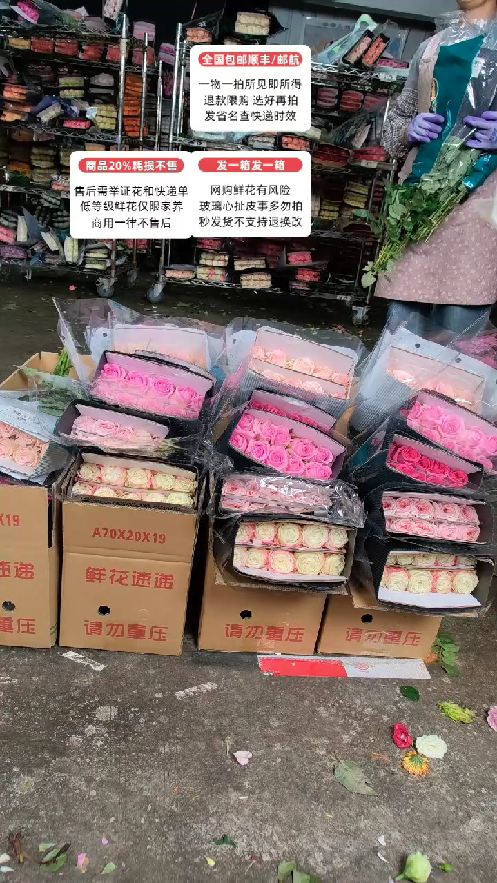 481号♥含20%耗损发一箱