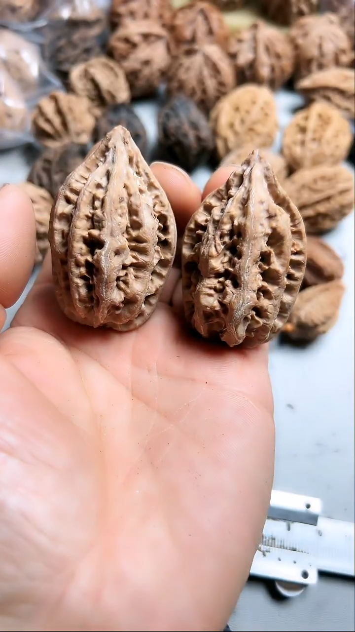 核桃东北野生大秋子7