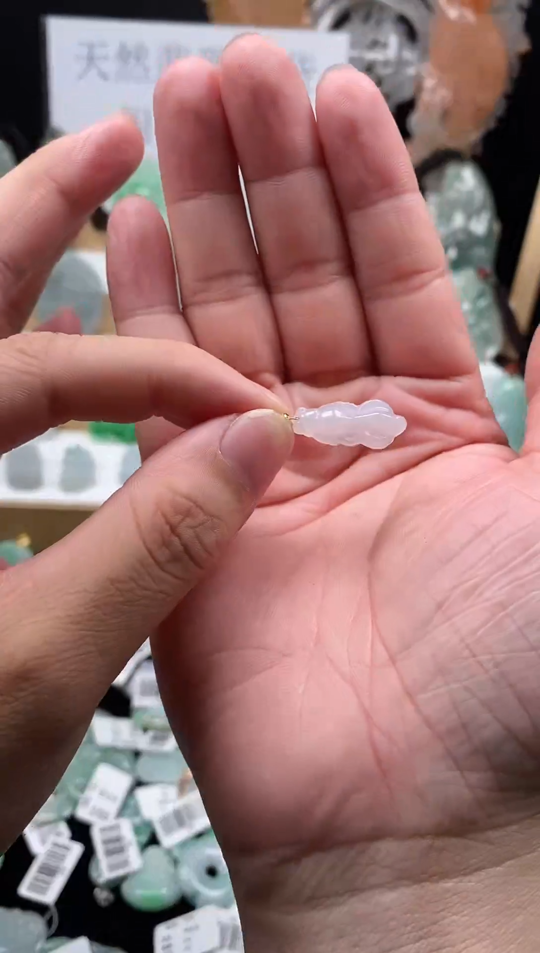 【闪购商品】翡翠颈饰未镶嵌104金鱼