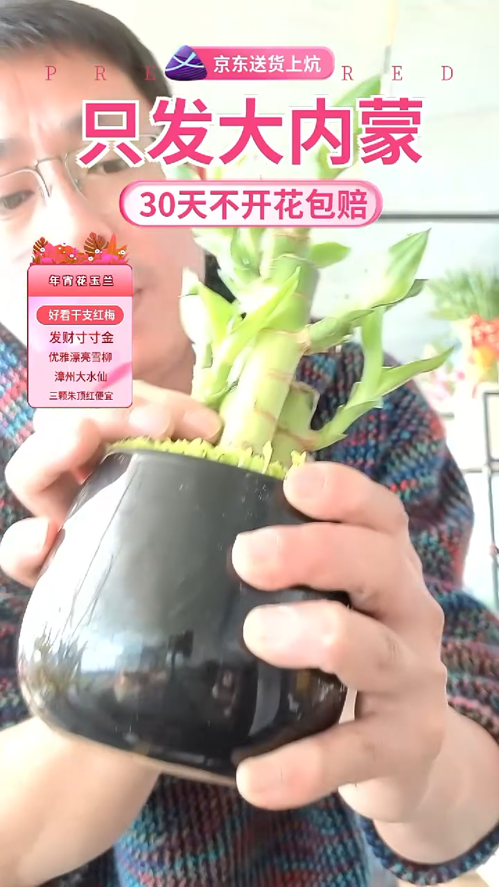 无花朵陶瓷文昌竹