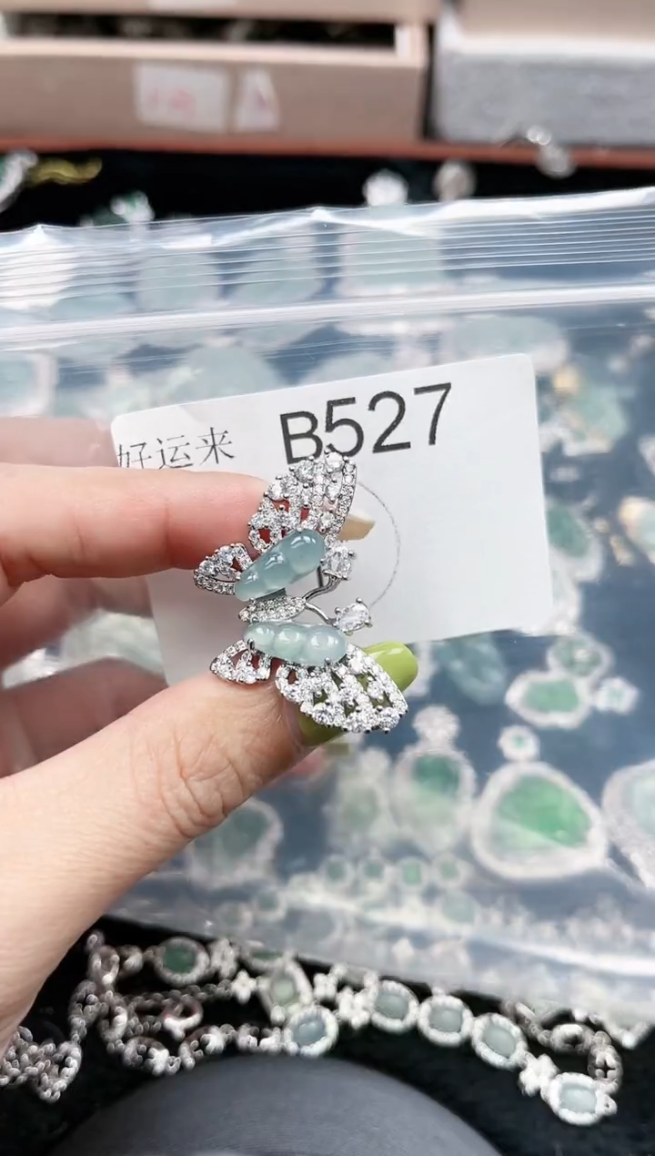 【闪购商品】翡翠颈饰未镶嵌赠皮绳527