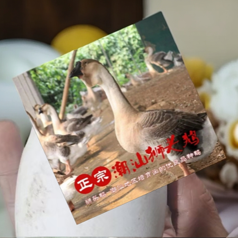 1号 （3两）左右顺丰包邮到家 鲜活蛋类顺丰包邮