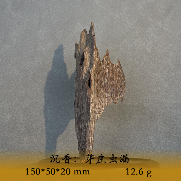 LSRS天然野芽庄虫漏B373