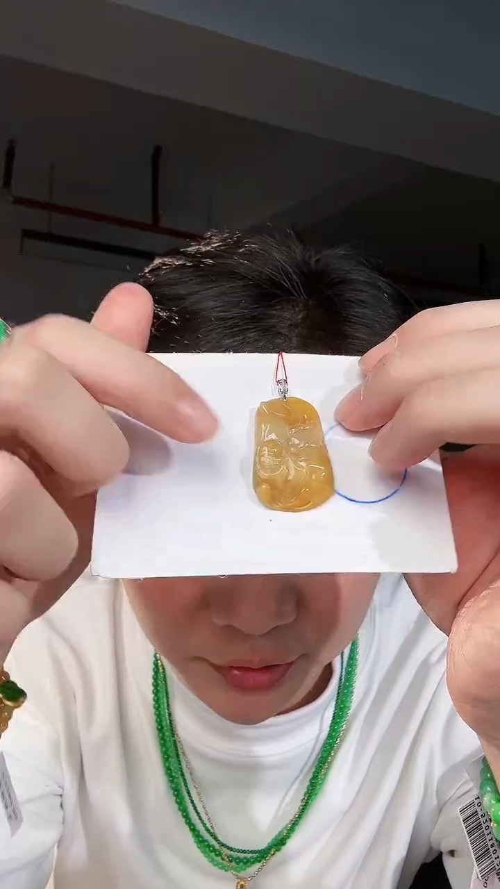 【闪购商品】翡翠颈饰18K金镶嵌缅料A货翡翠/支持复检/一件