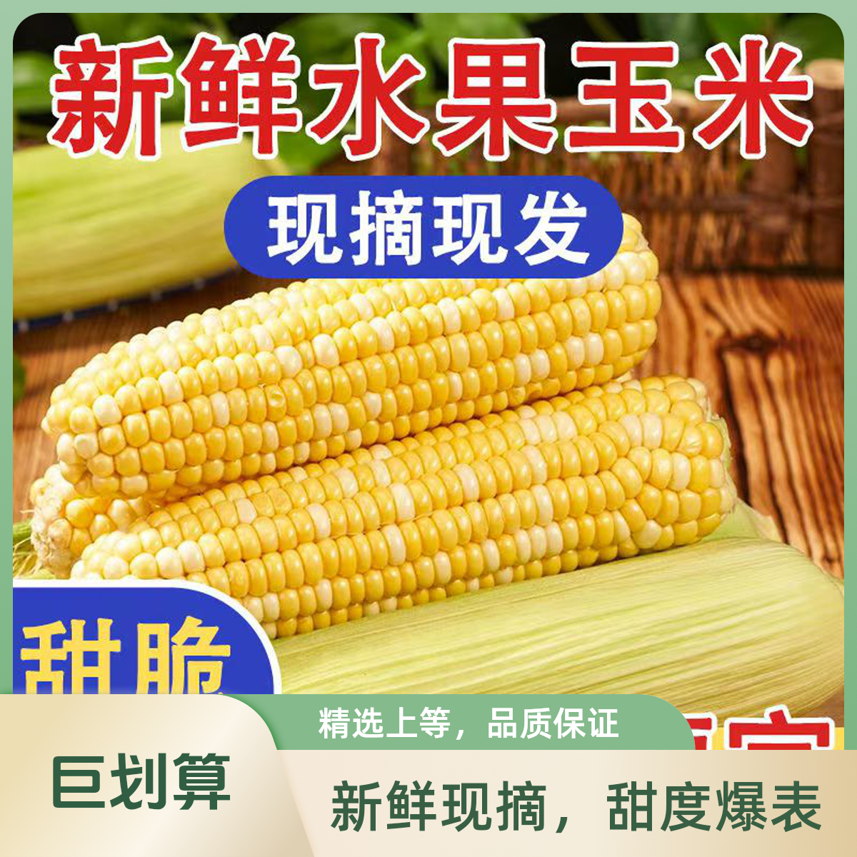 北纬47°水果鲜玉米2.5kg左右 新鲜带皮8根小时达
