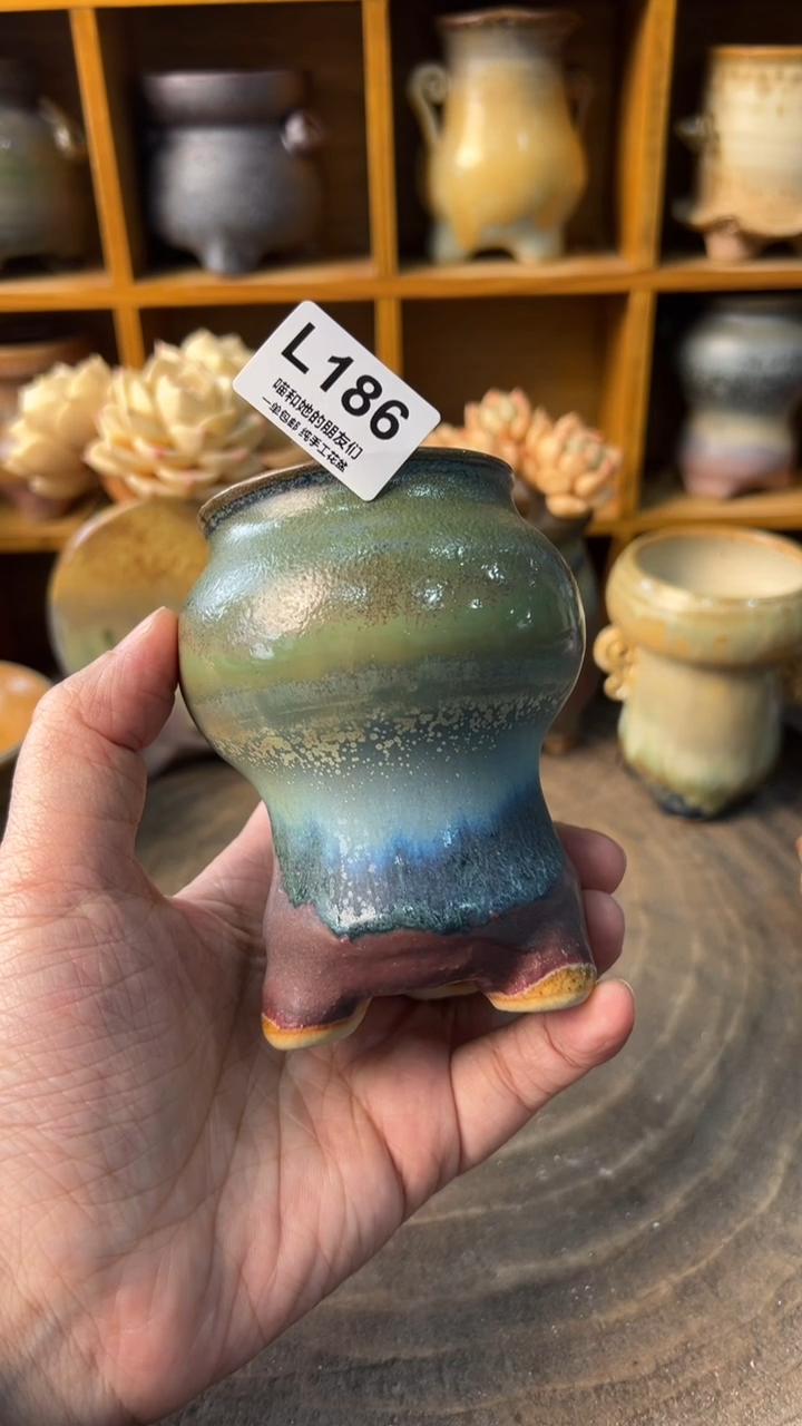 186 内口5【多肉花盆多肉盆】