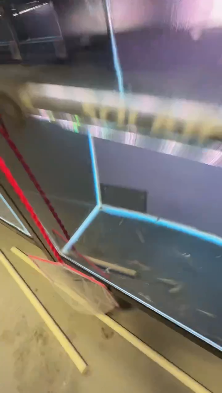 灯科鱼恐****?D12-10号白金血魔2.5cm左右（不包黑点）1条