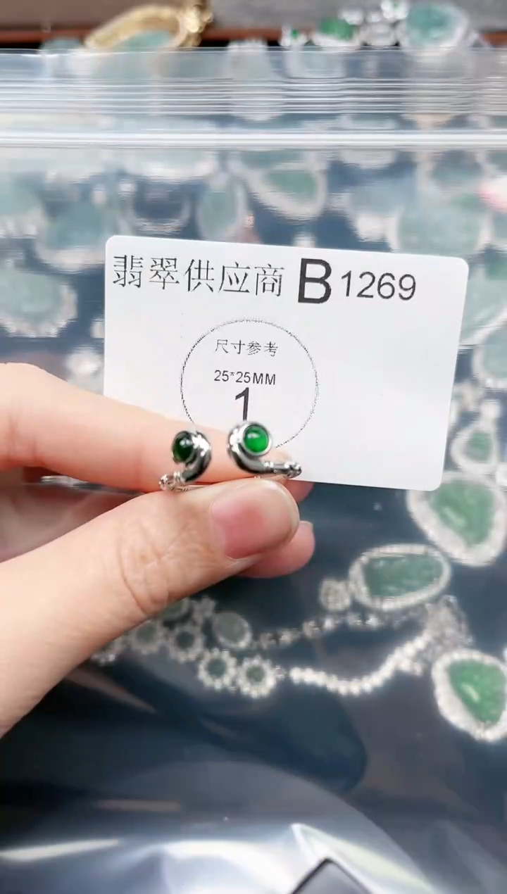 【闪购商品】翡翠颈饰未镶嵌1269赠皮绳