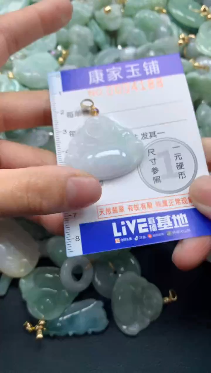 颈饰未镶嵌翡翠4188