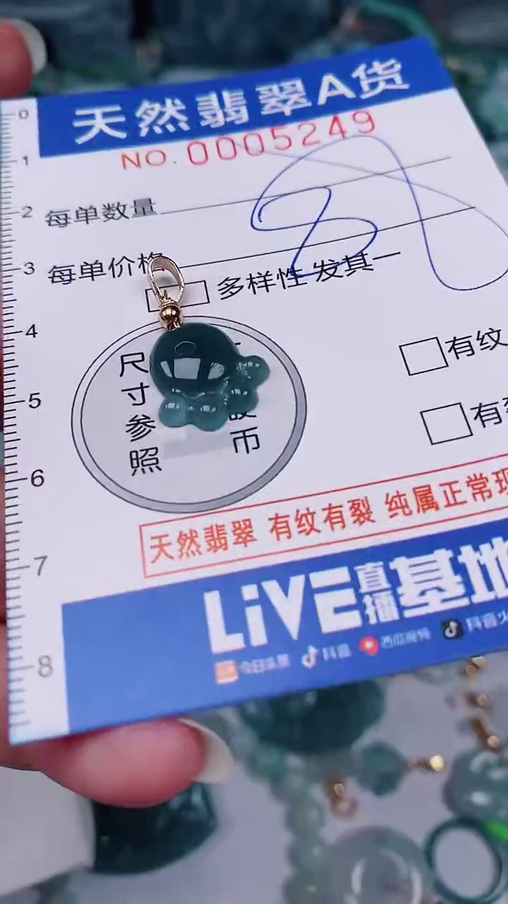 翡翠未镶嵌颈饰00005249