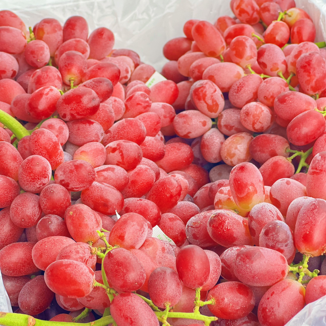 【拉萨小时达】无籽红提葡萄脆甜无籽 纯甜多汁2-5斤