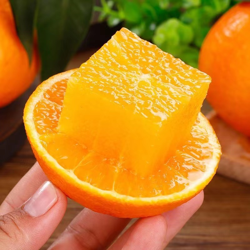 正宗四川爱媛果冻橙新鲜橙子爆汁细腻现摘现发Z1