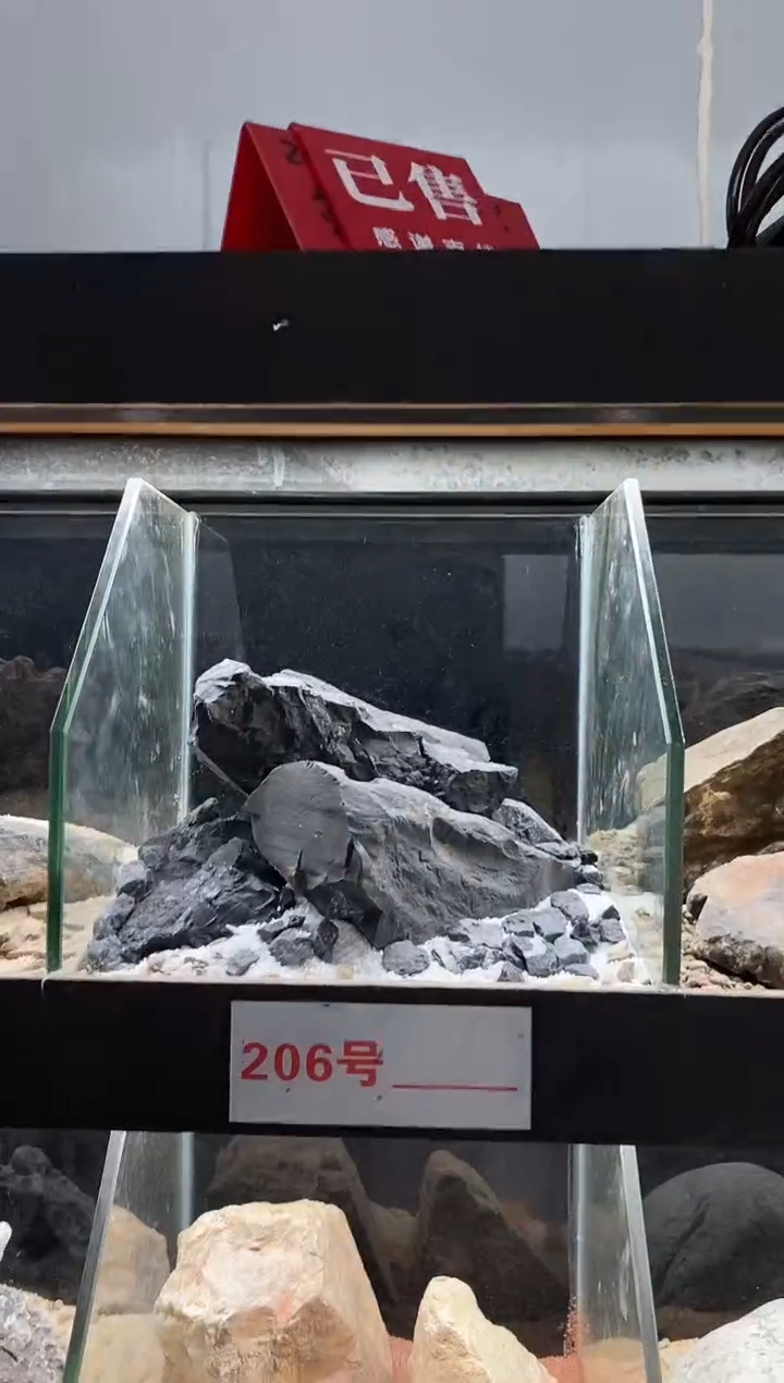 206号鱼然造景（不含底砂）