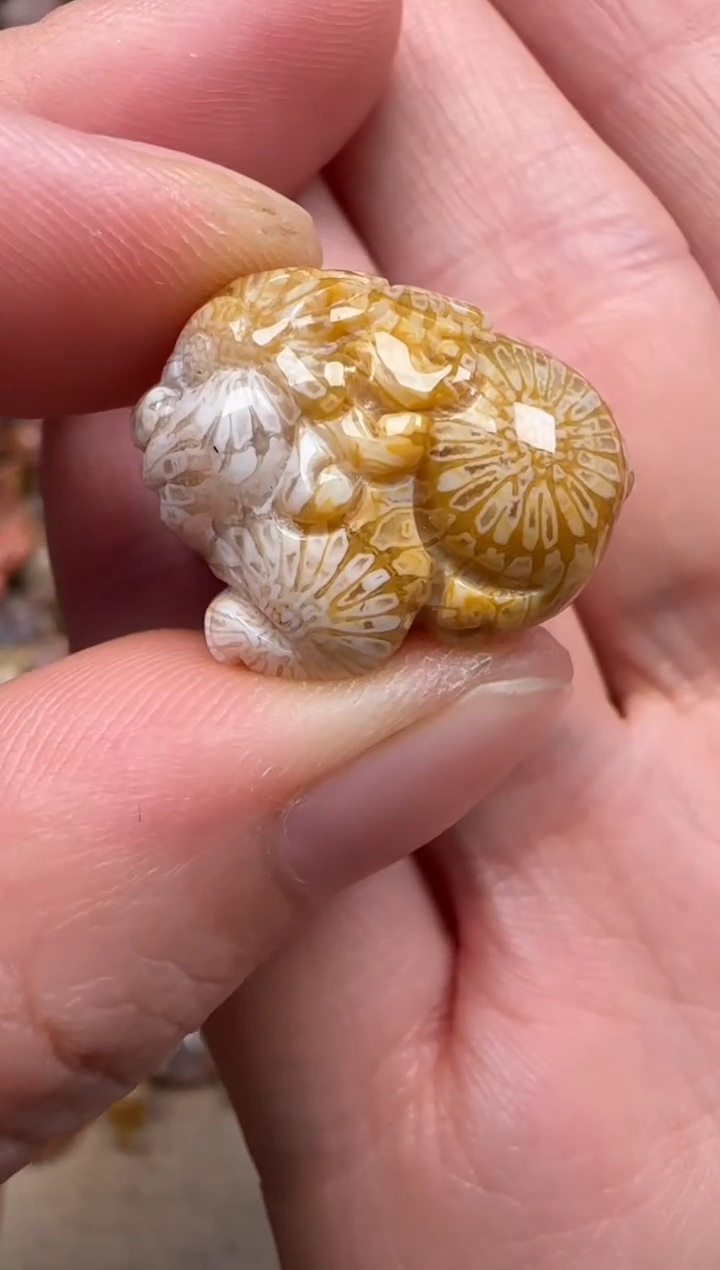 硅化珊瑚（珊瑚玉）未镶嵌颈饰124