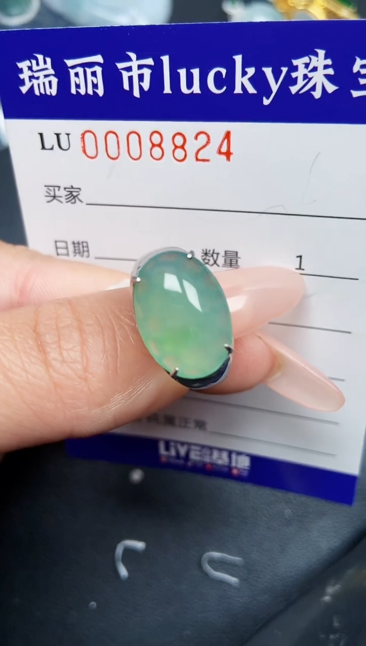 【闪购商品】翡翠颈饰银S925镶嵌8824