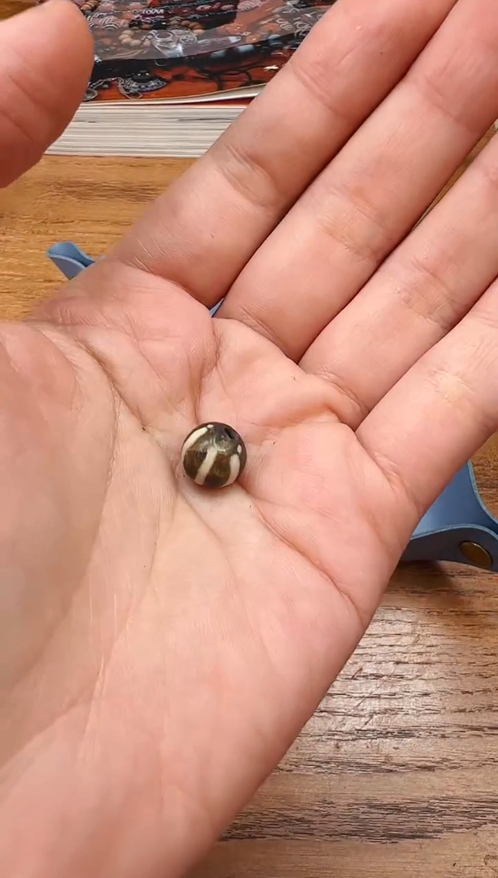 【闪购商品】木变石颈饰未镶嵌【 肖钟出品 】