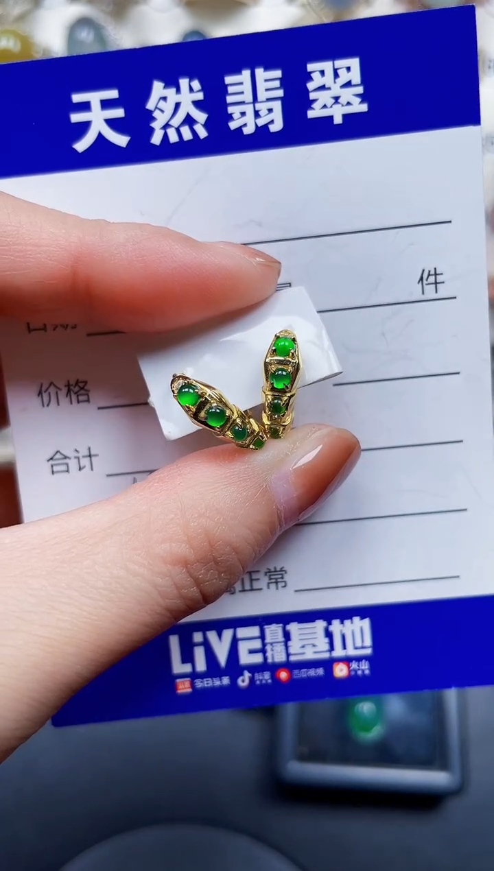 银S925镶嵌翡翠耳饰194