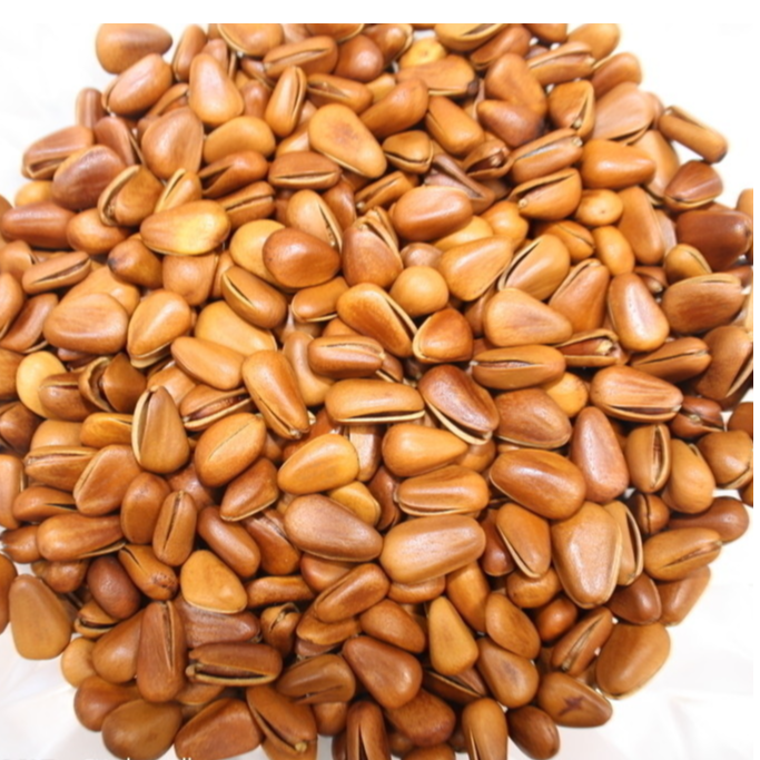 【阿东干果】东北特级大松子