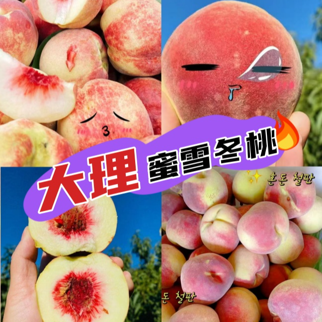 云南大理冬雪蜜桃新鲜脆甜鲜摘现发