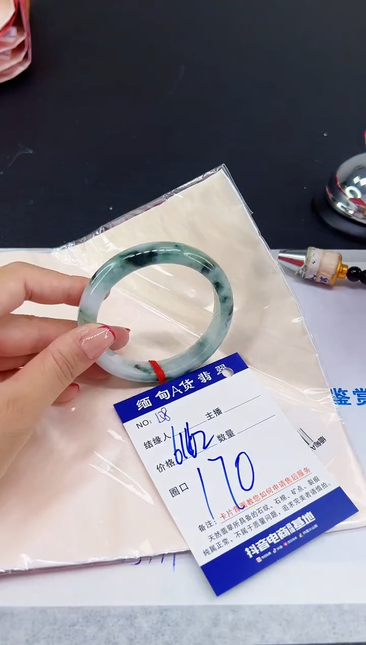 未镶嵌手镯翡翠11111