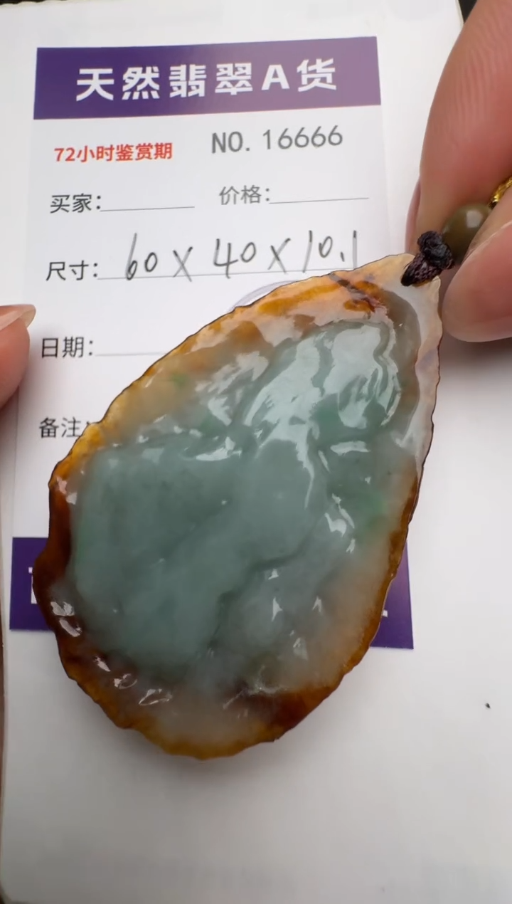 翡翠未镶嵌颈饰原石16666