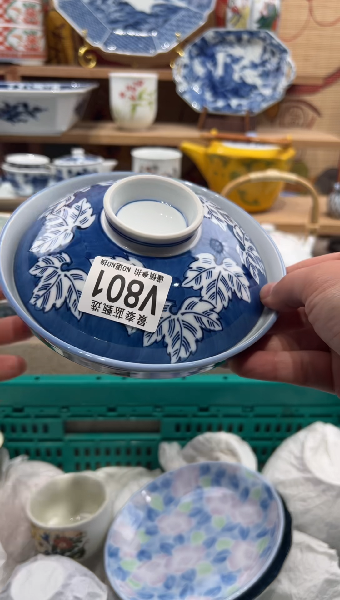 瓷片✨**?瓷片-------V801