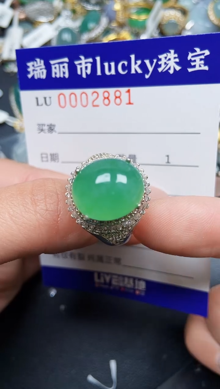 【闪购商品】翡翠颈饰未镶嵌铜托2881