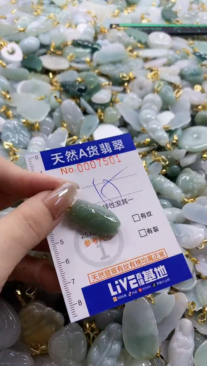 颈饰未镶嵌翡翠天然A货翡翠