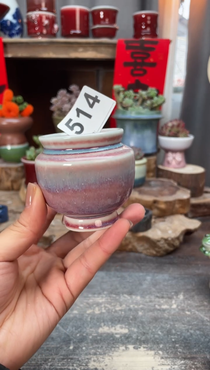 【闪购商品】摆件514知木小芳花盆
