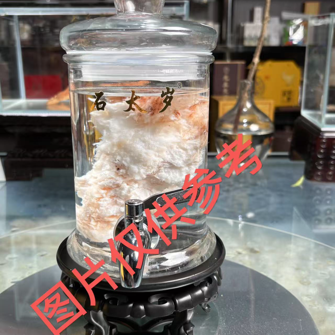 （一物一拍）长白山石太岁《小克重》