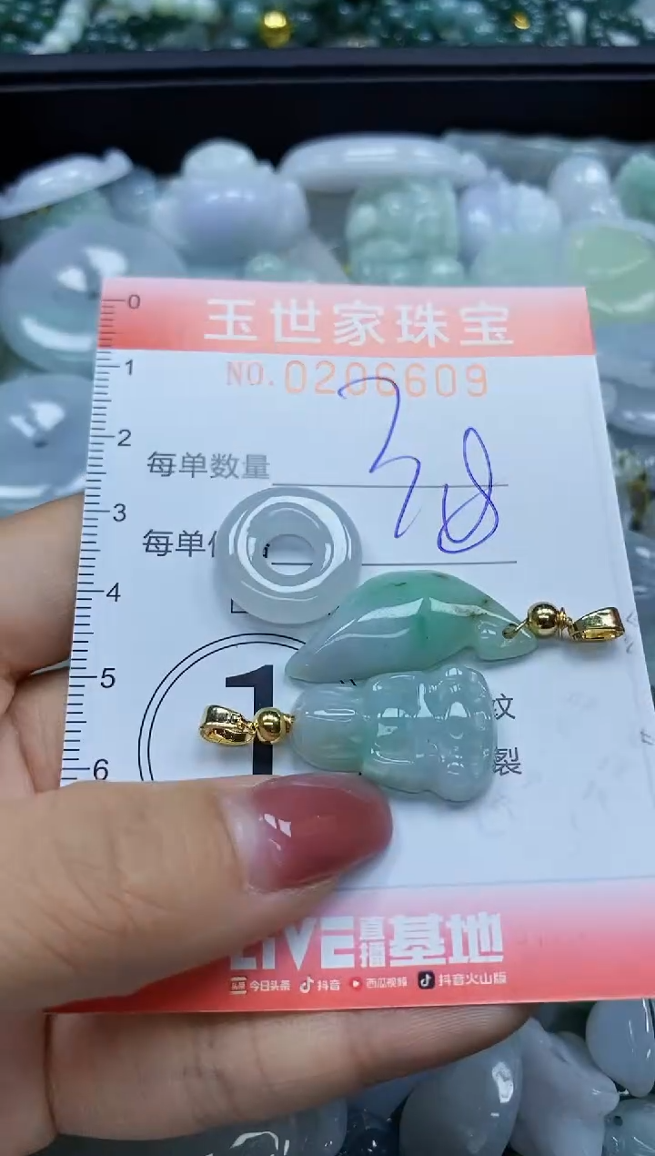 【闪购商品】翡翠颈饰未镶嵌闪购0206609