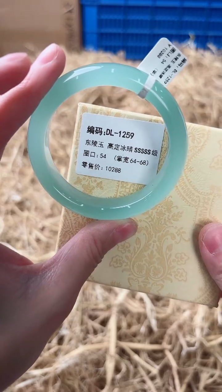 未镶嵌手镯石英质玉DL-1259