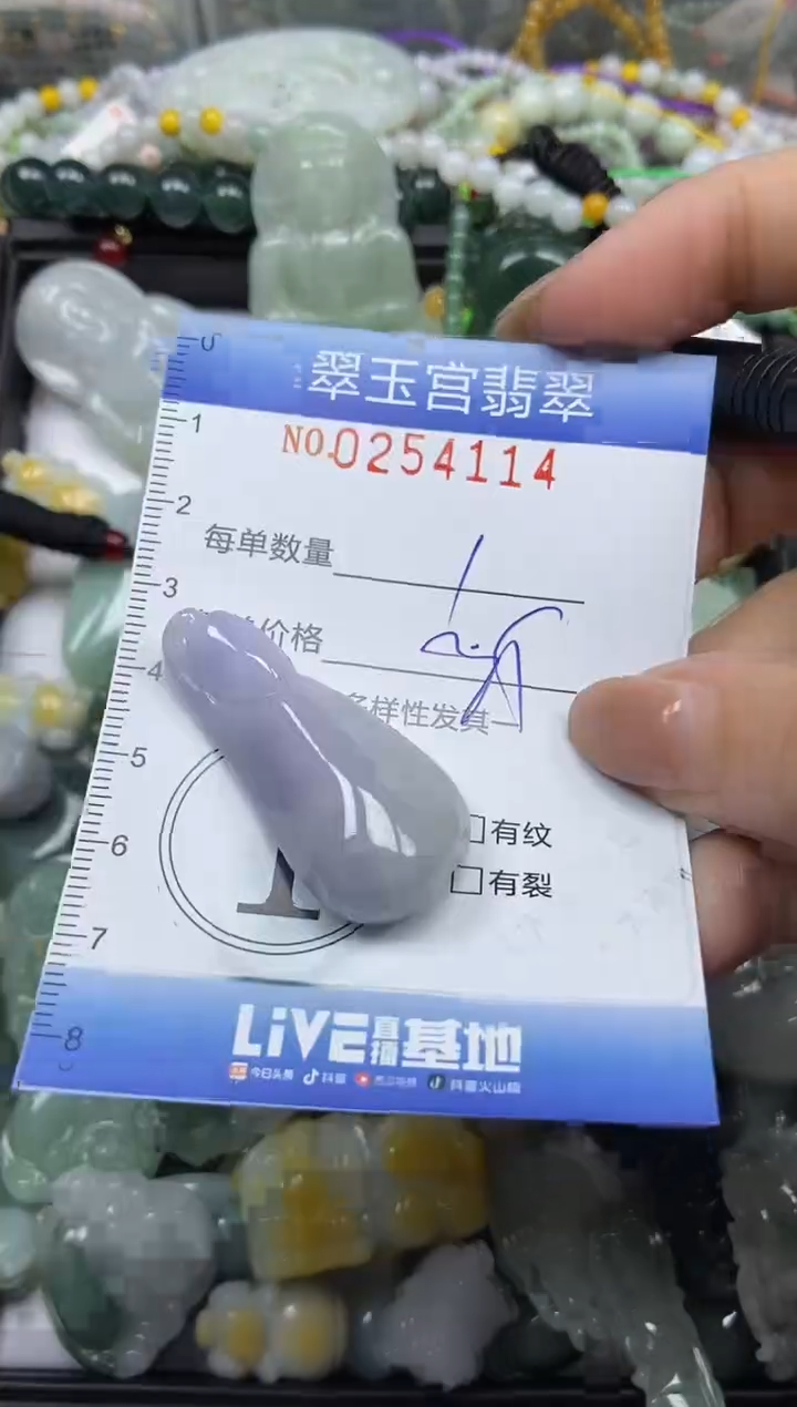 颈饰未镶嵌翡翠闪购C0254114
