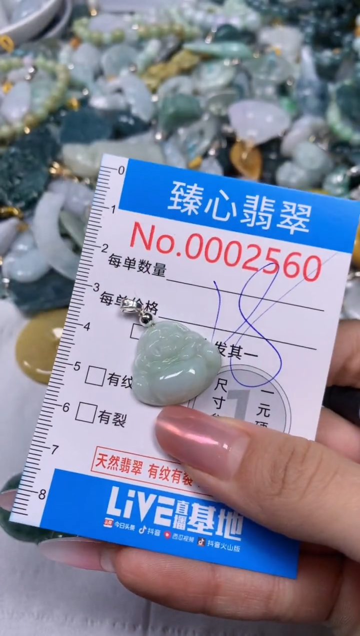 【闪购商品】翡翠颈饰未镶嵌含绳0002560