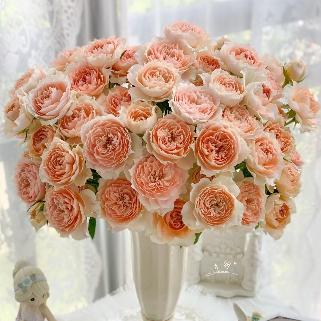 杏色啦啦队多头玫瑰【任意两单及以上升级顺丰】