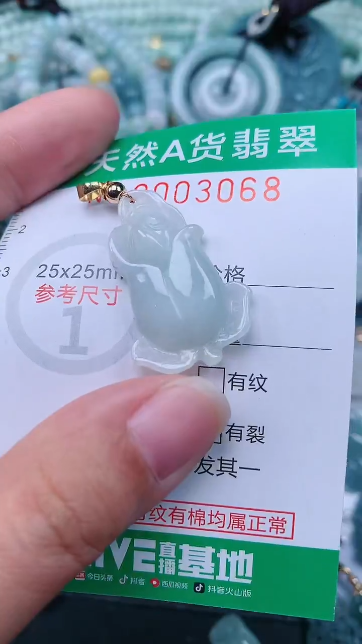 颈饰未镶嵌翡翠.0003068