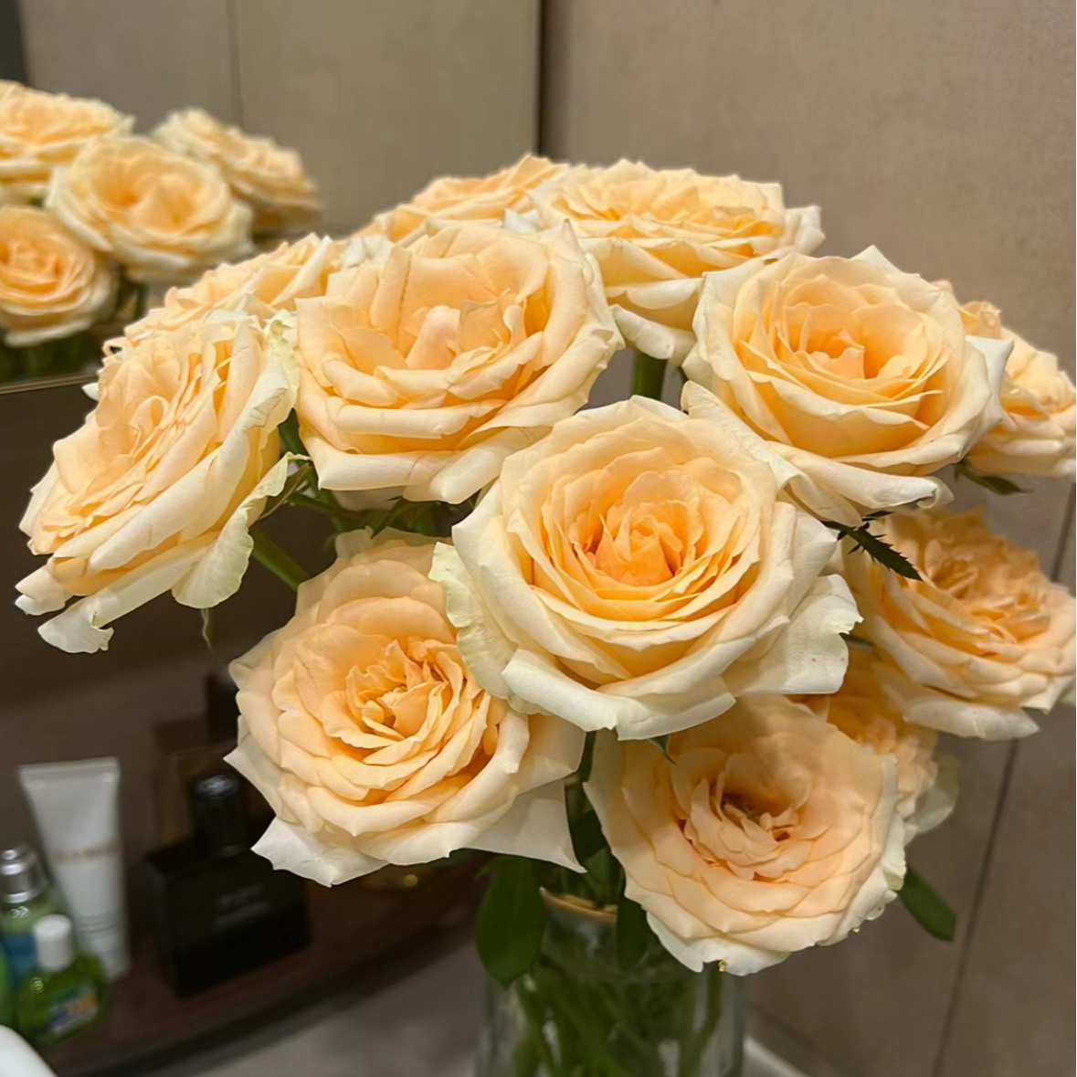 【碎冰蓝+艾莎+香槟】北方玫瑰花期持久 两单顺丰包邮