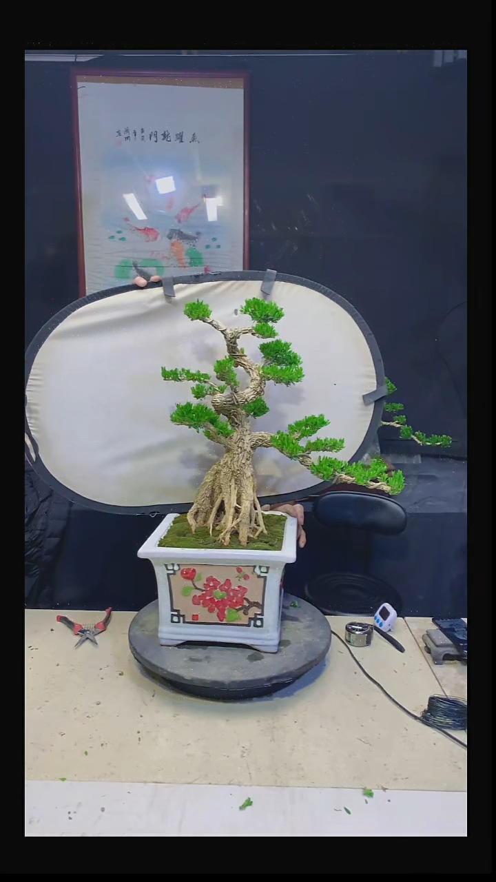 无花朵飞***虚1111111111111