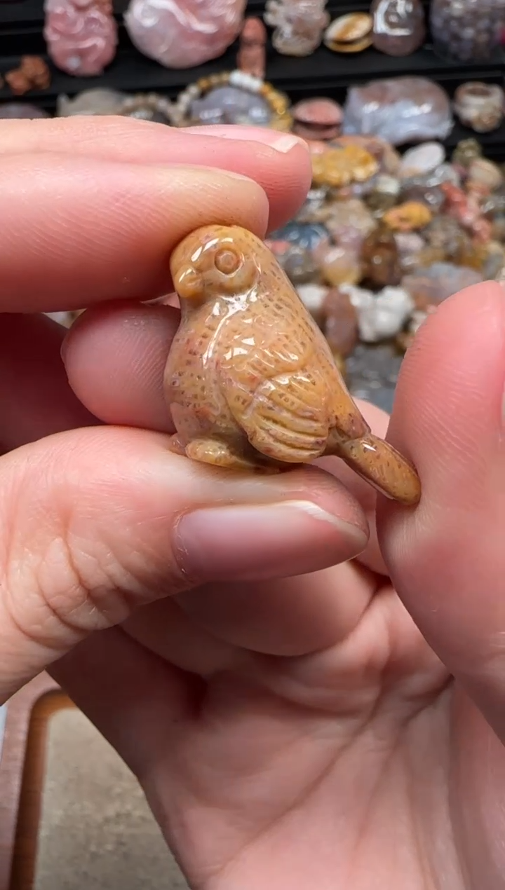 颈饰未镶嵌硅化珊瑚（珊瑚玉）311