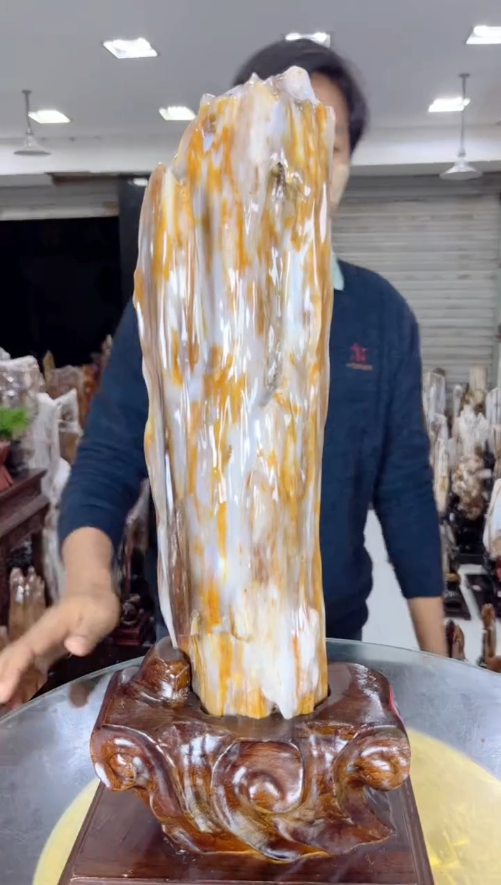 【闪购商品】硅化玉珠宝奇石未镶嵌缅甸天然树化玉