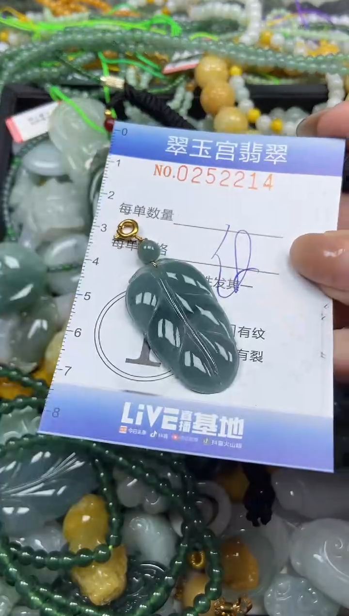 颈饰未镶嵌翡翠闪购C0252214