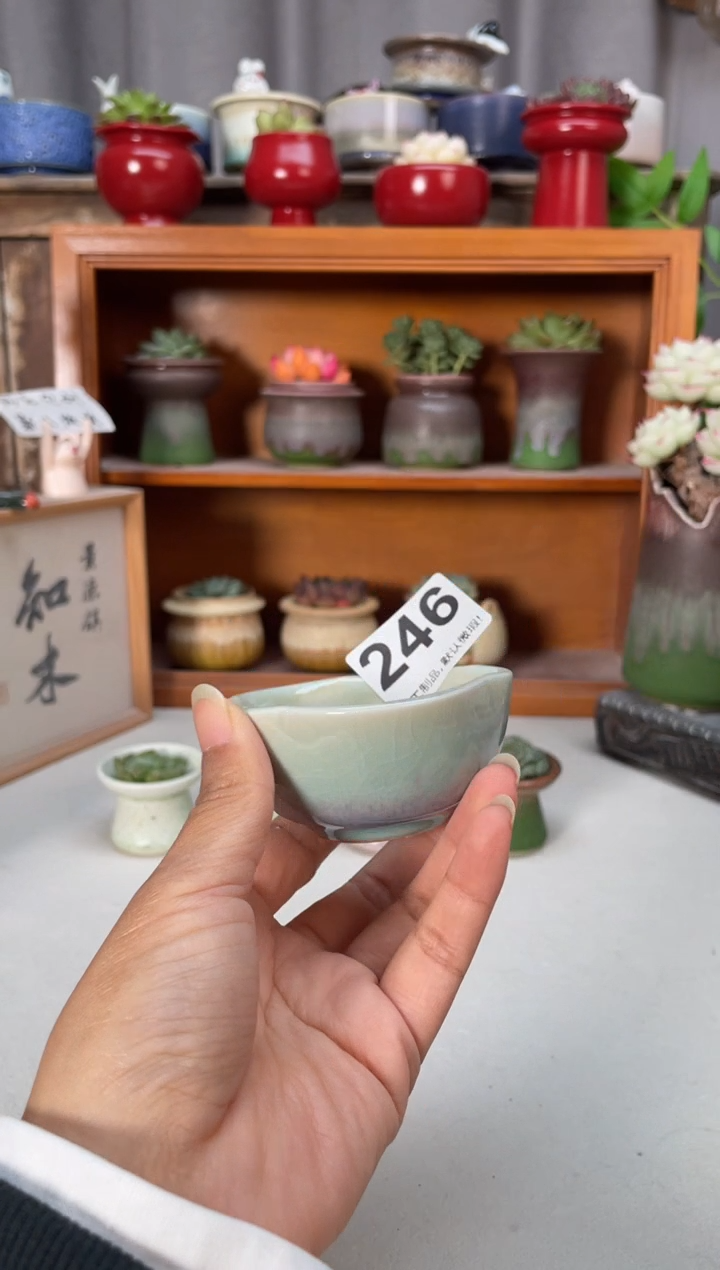 瓷片246知木小芳花盆