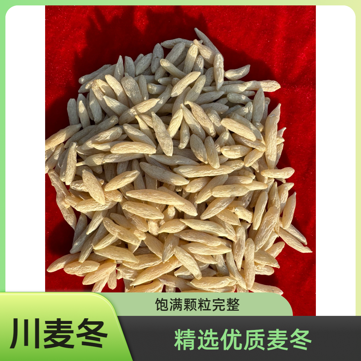 川麦冬正品保障精选四川绵阳麦冬搭配西洋参党参黄芪泡水批发煲汤