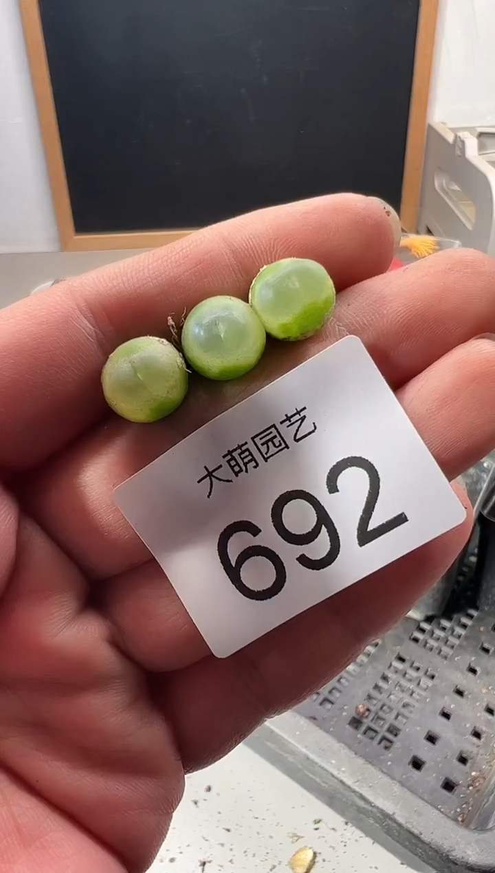 手工编织雪花片挂件一个692