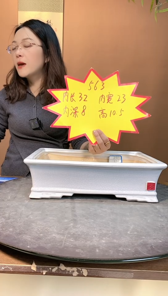 【闪购商品】陶瓷563白色