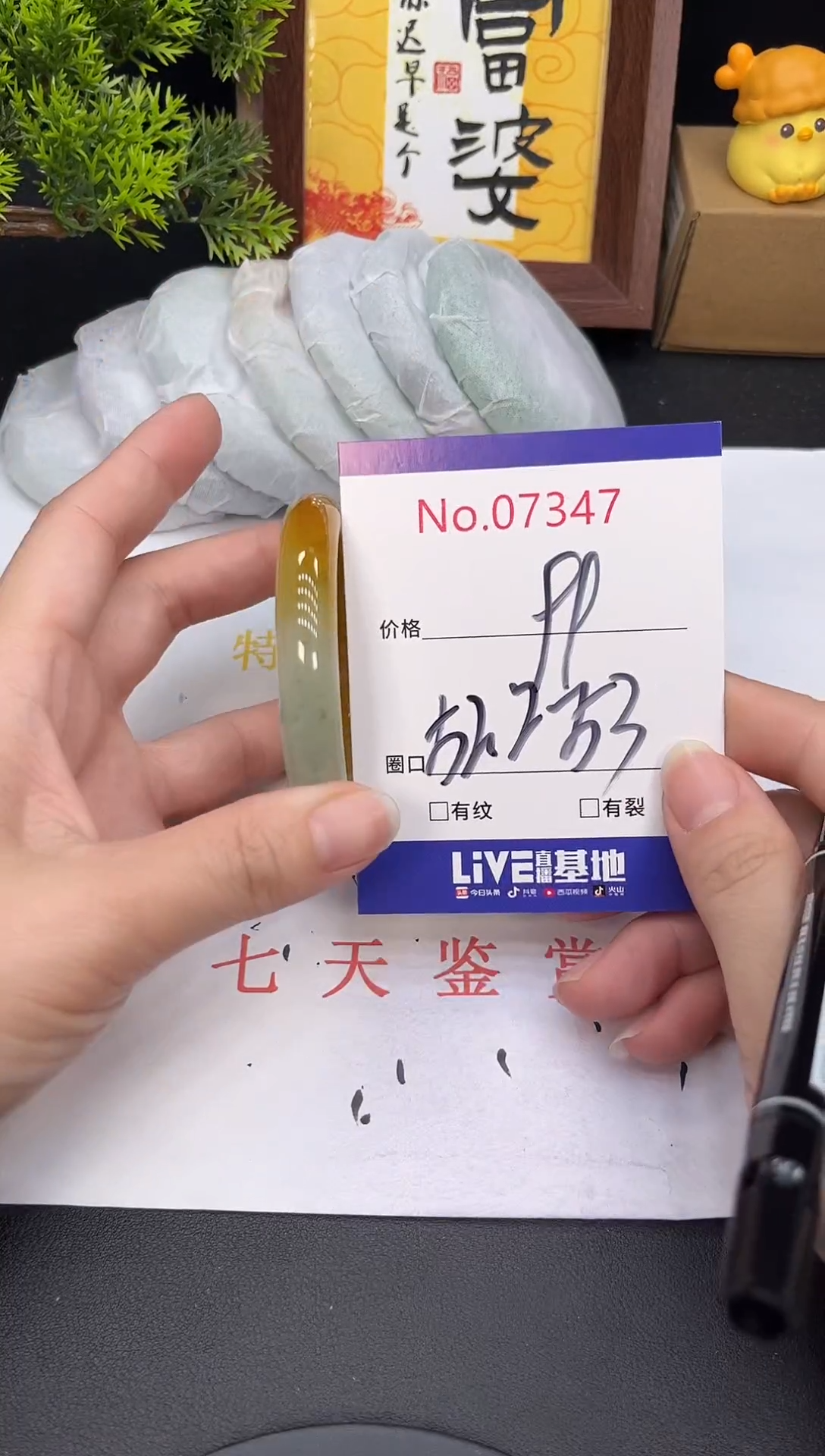 未镶嵌手镯翡翠7347