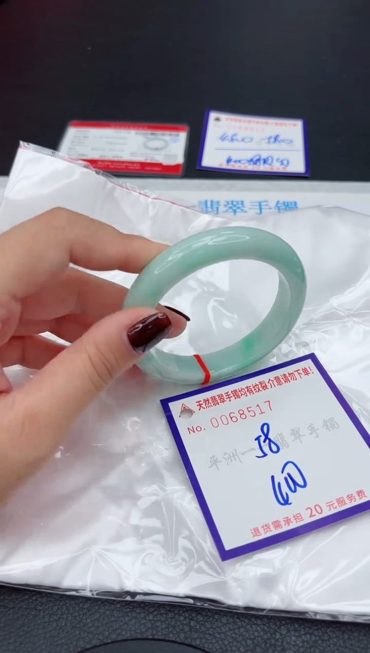 未镶嵌手镯翡翠1