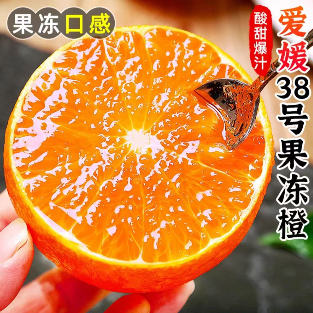 四川爱媛38号果冻橙 新鲜应季水果 香甜多汁 皮薄肉厚 产地直发