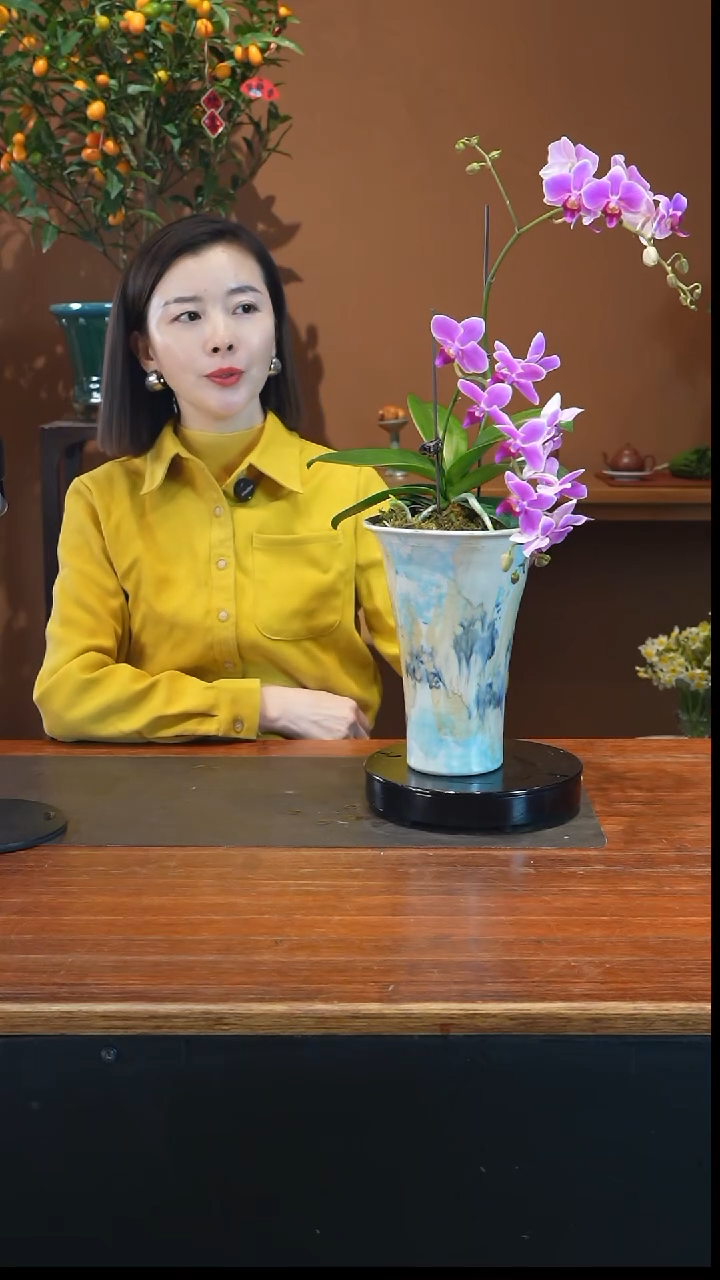 全部花朵粉珠帘景盆景盆景