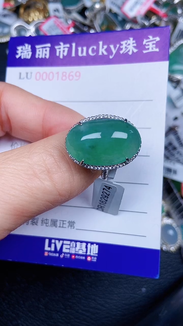 颈饰银S925镶嵌翡翠1869